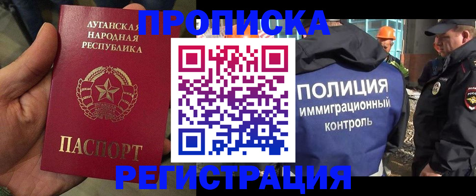 прописка поиск в Чистополье